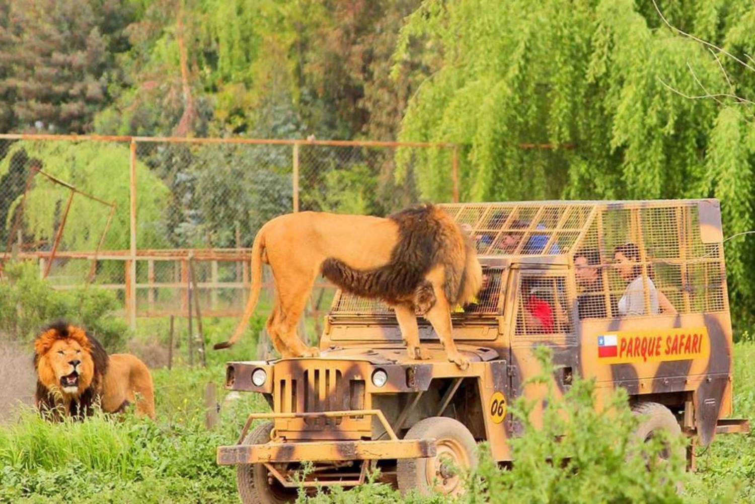 Parque Safari - view 2